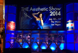 The Aesthetic Show 2014!